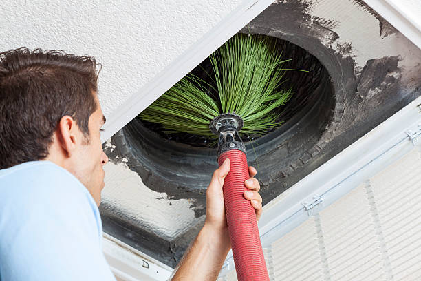 Best Home Air Vent Cleaning  in Grayson, KY